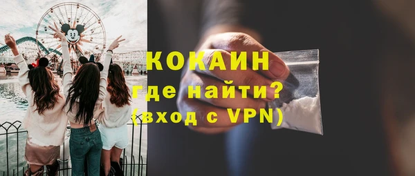 дмт Заводоуковск