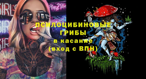 дмт Заводоуковск