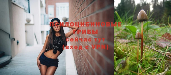 дмт Заводоуковск